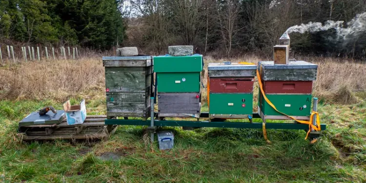 So, you want to be a beekeeper?