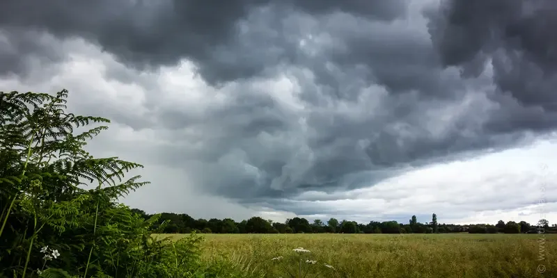 Heavy clouds over a field of oil seed rape