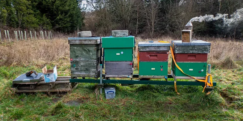 Four beehives on a stand in a field